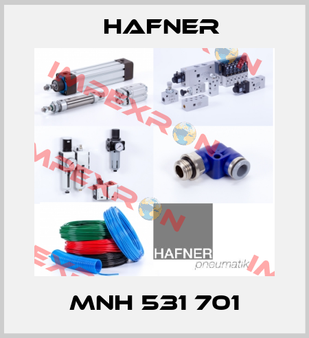 MNH 531 701 Hafner