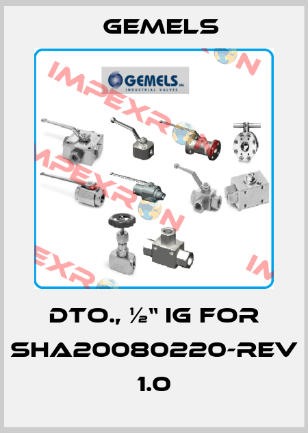 dto., ½“ IG for SHA20080220-REV 1.0 Gemels