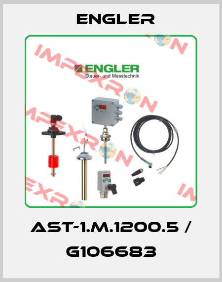 AST-1.M.1200.5 / G106683 Engler