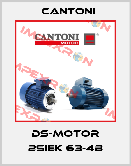 DS-Motor 2SIEK 63-4B Cantoni