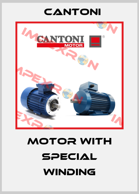 Motor with special winding Cantoni