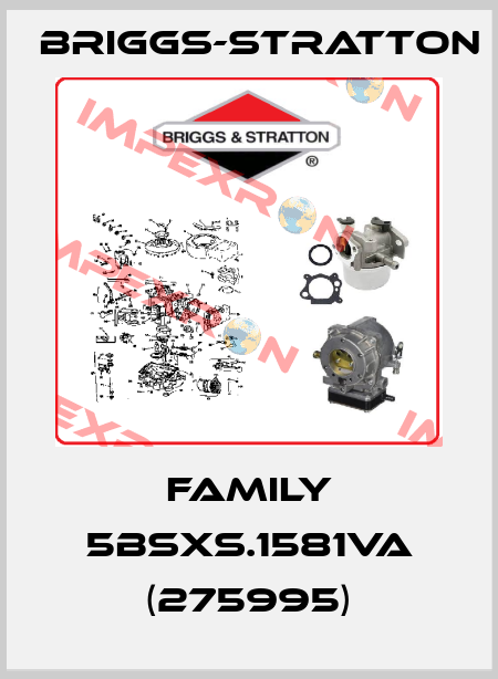 FAMILY 5BSXS.1581VA (275995) Briggs-Stratton