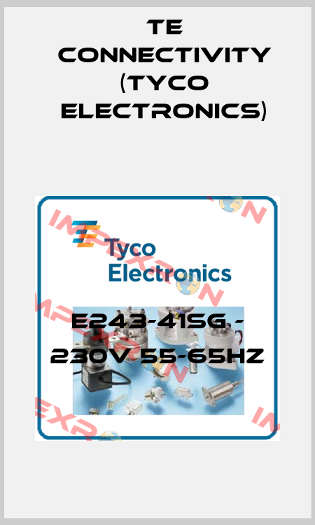 E243-41SG - 230V 55-65Hz TE Connectivity (Tyco Electronics)