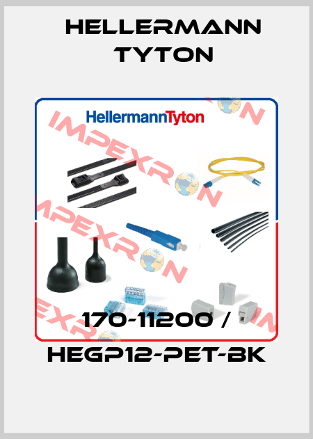 170-11200 / HEGP12-PET-BK Hellermann Tyton