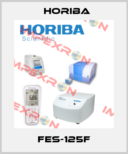 FES-125F Horiba