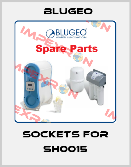 sockets for SH0015 Blugeo