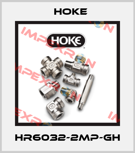HR6032-2MP-GH Hoke