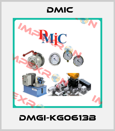 DMGI-KG0613B DMIC