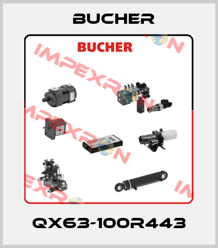 QX63-100R443 Bucher