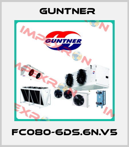 FC080-6DS.6N.V5 Guntner