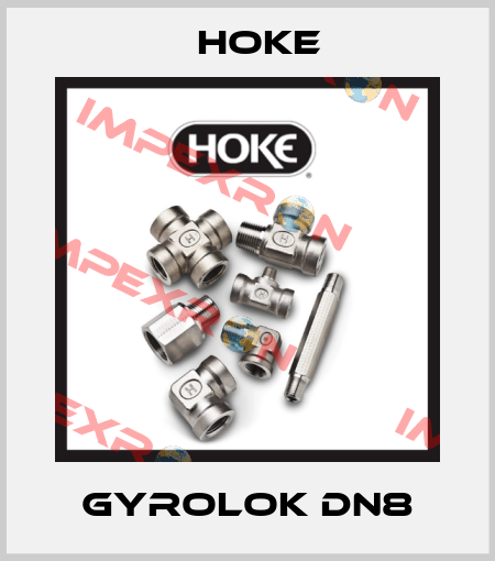 Gyrolok DN8 Hoke