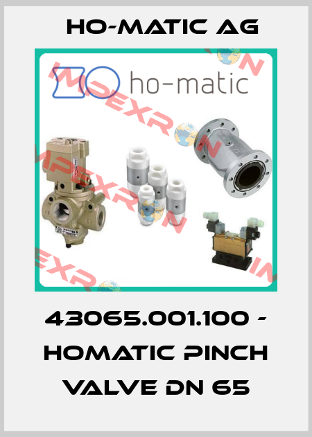 43065.001.100 - HoMatic pinch valve DN 65 Ho-Matic AG