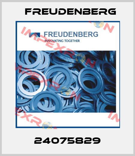 24075829 Freudenberg