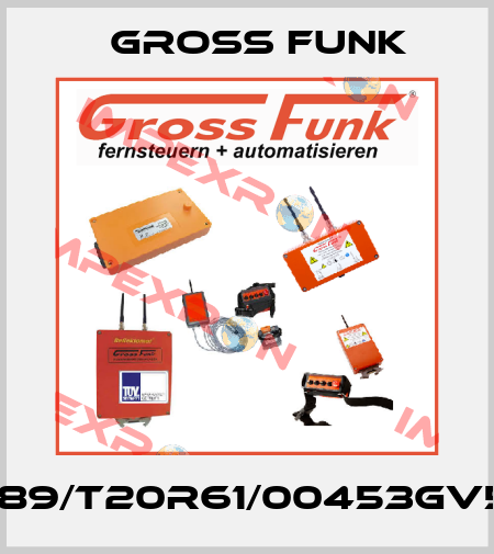 SE889/T20R61/00453GV5/fr Gross Funk