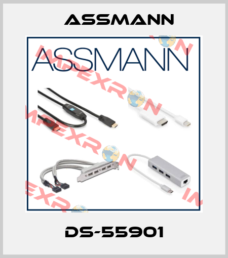 DS-55901 Assmann