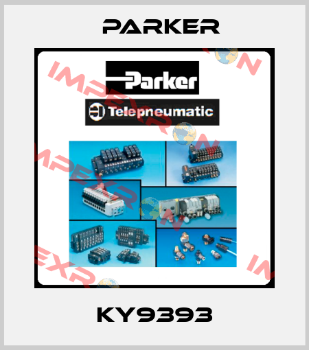 KY9393 Parker