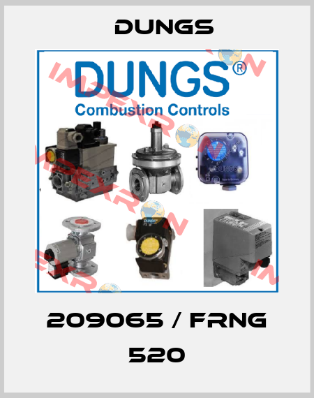 209065 / FRNG 520 Dungs