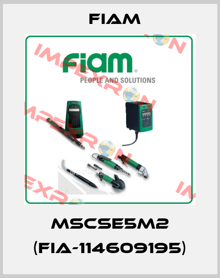 MSCSE5M2 (FIA-114609195) Fiam