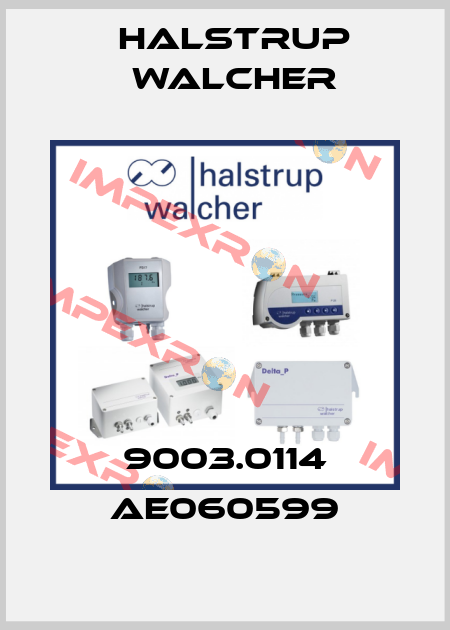 9003.0114 AE060599 Halstrup Walcher