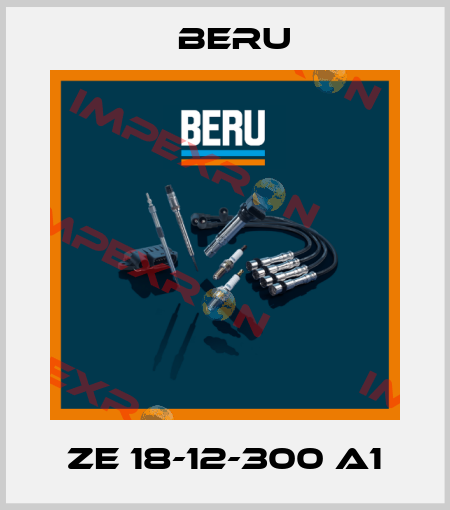 ZE 18-12-300 A1 Beru