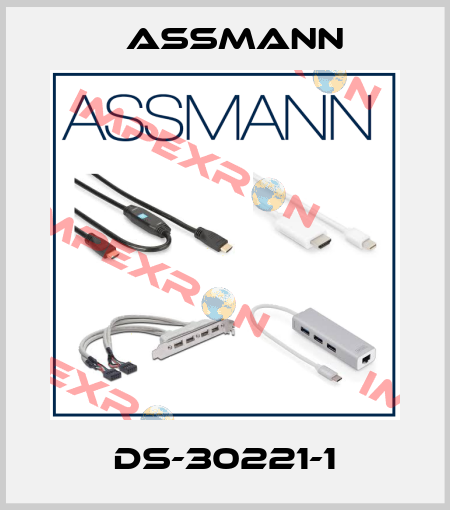 DS-30221-1 Assmann