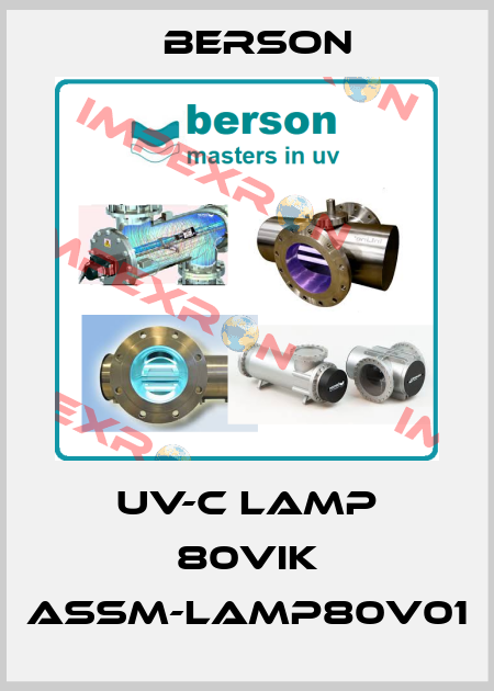 UV-C LAMP 80VIK ASSM-LAMP80V01 Berson