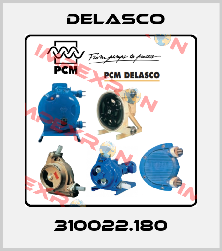 310022.180 Delasco