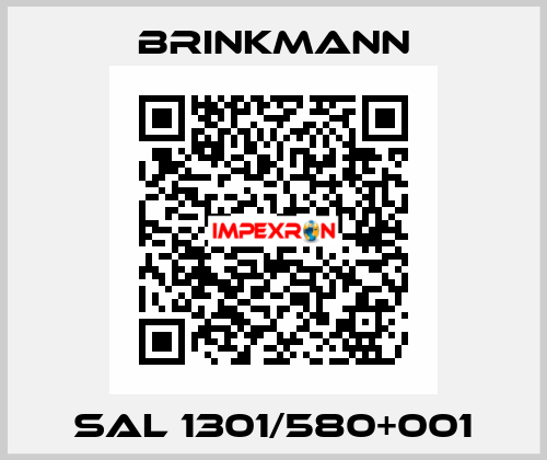 SAL 1301/580+001 Brinkmann