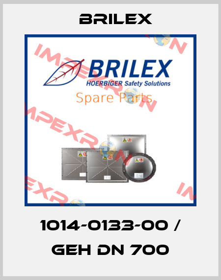 1014-0133-00 / GEH DN 700 Brilex