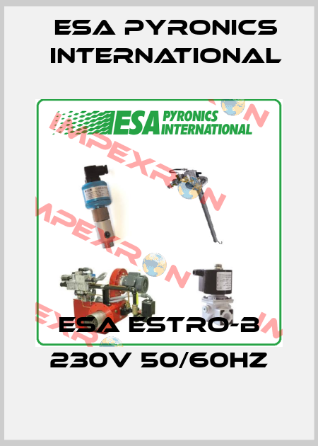 ESA ESTRO-B 230V 50/60Hz ESA Pyronics International