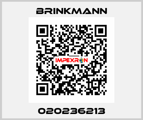 020236213 Brinkmann