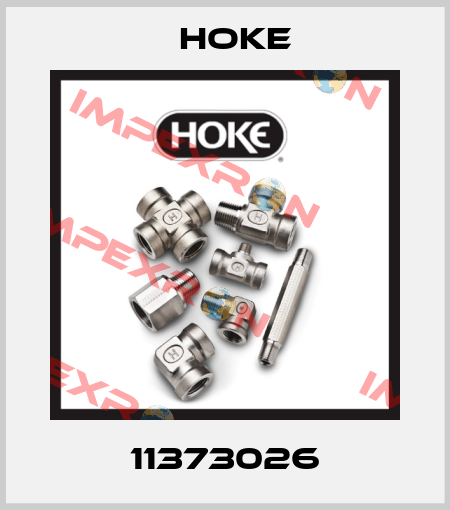 11373026 Hoke