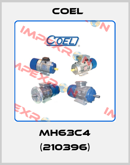 MH63C4 (210396) Coel