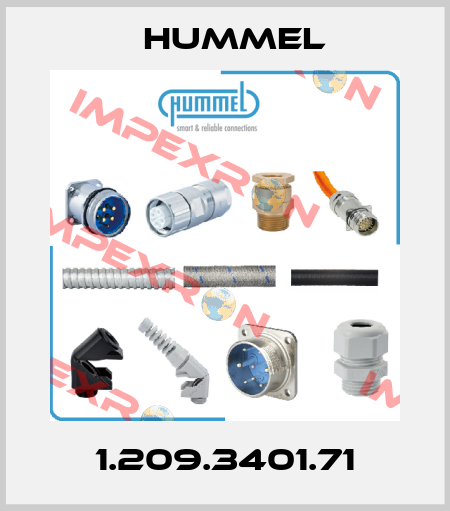 1.209.3401.71 Hummel