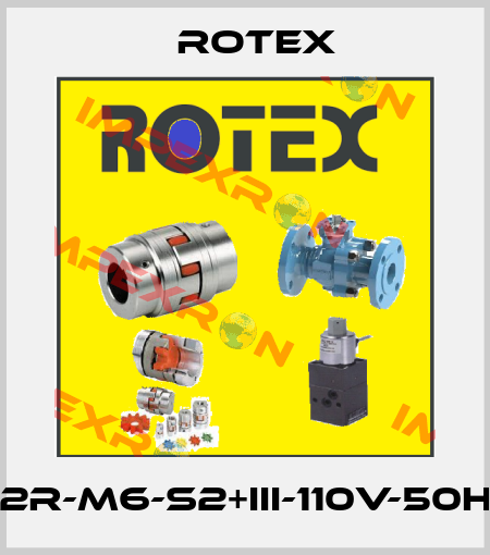 30301-1.6-2R-M6-S2+III-110V-50Hz-37-LD-H Rotex
