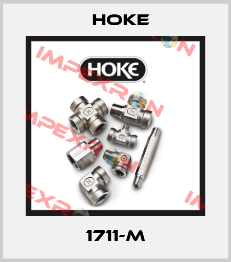 1711-M Hoke