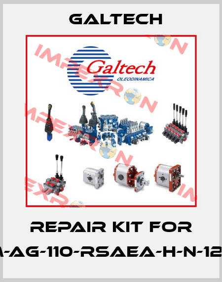 Repair kit for 2SM-AG-110-RSAEA-H-N-12-0-G Galtech