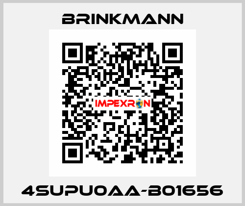 4SUPU0AA-B01656 Brinkmann