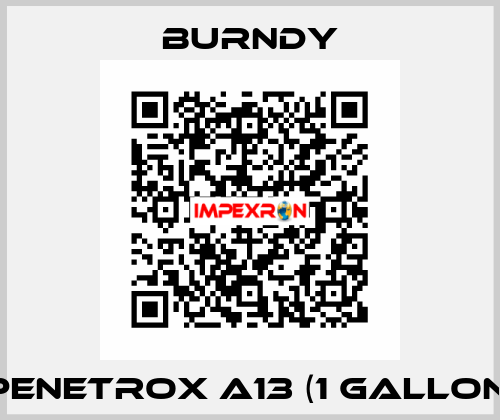 Penetrox A13 (1 gallon) Burndy