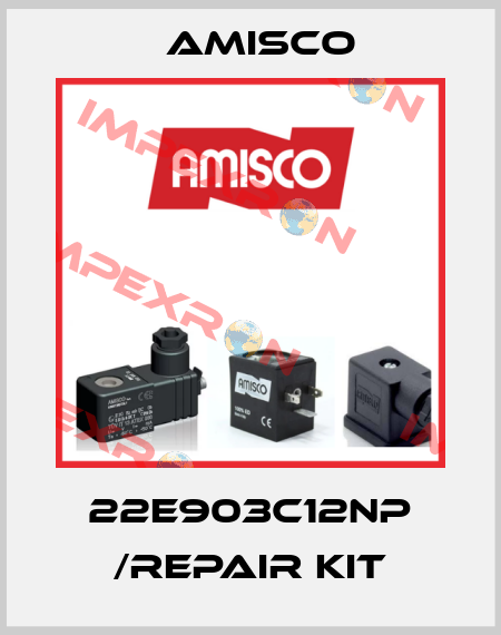 22E903C12NP /repair kit Amisco