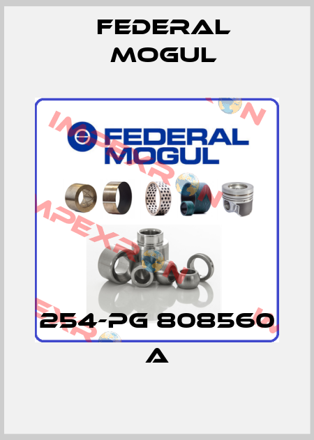 254-PG 808560 A Federal Mogul