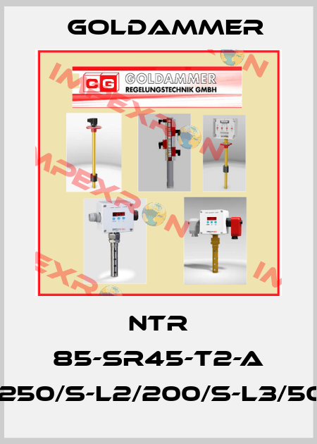 NTR 85-SR45-T2-A FE-L370-03-L1/250/S-L2/200/S-L3/50/Ö-III-DIN43651 Goldammer