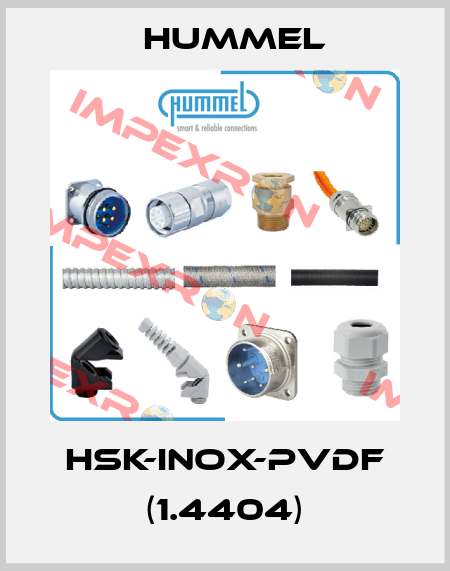 HSK-INOX-PVDF (1.4404) Hummel