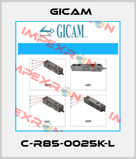C-R85-0025K-L Gicam