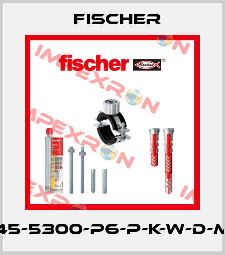 DE45-5300-P6-P-K-W-D-M-W Fischer