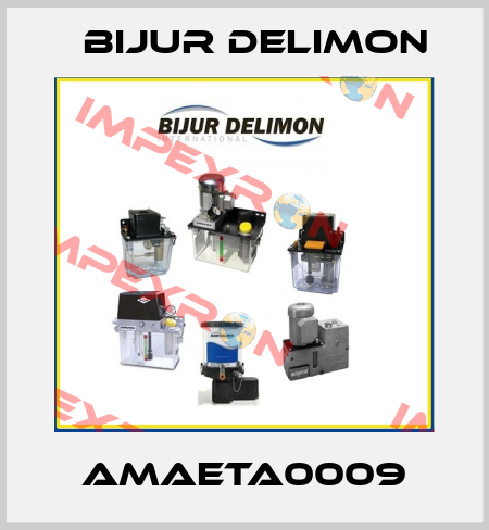 AMAETA0009 Bijur Delimon