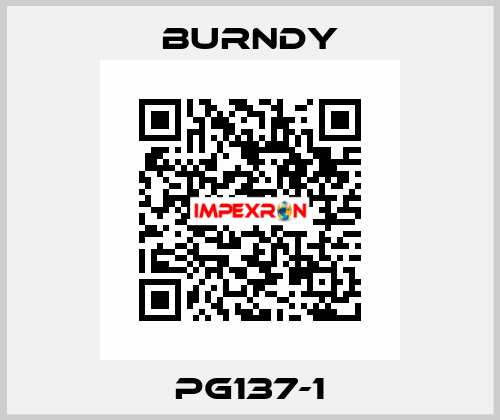 PG137-1 Burndy