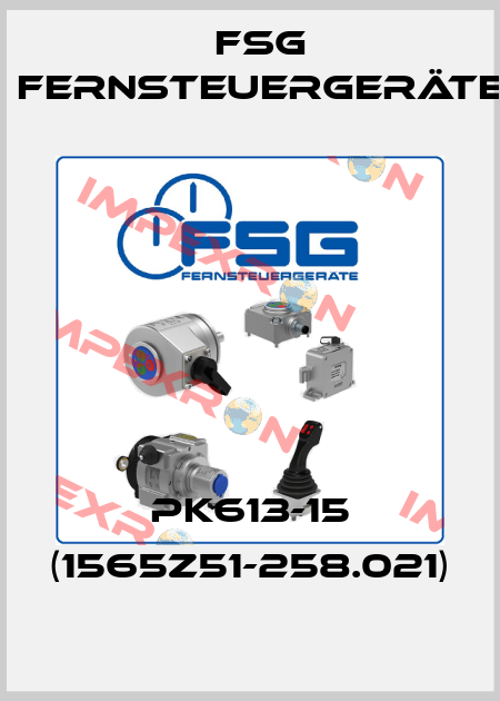 PK613-15 (1565Z51-258.021) FSG Fernsteuergeräte