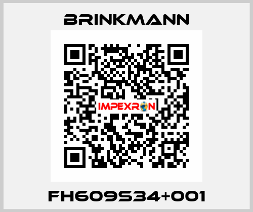 FH609S34+001 Brinkmann