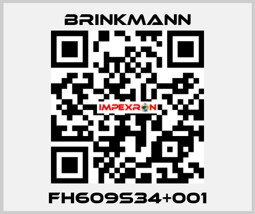 FH609S34+001 Brinkmann